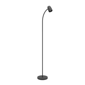 EGLO vloerlamp Carlo - 170 cm - zwart