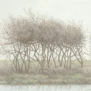 Boompjes bij Ferwoude 1993