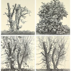 De vier jaargetijden