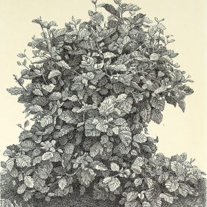 De vier jaargetijden 3