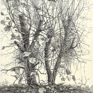 De vier jaargetijden 4