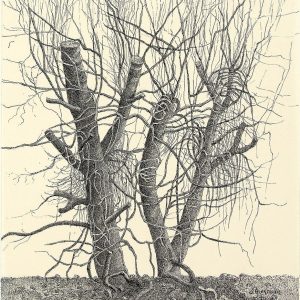 De vier jaargetijden 5