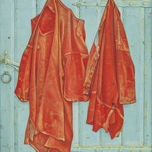 Roodbaaien hemden op blauwe deur