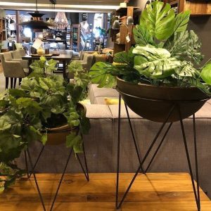 Planten Standaard Bowl